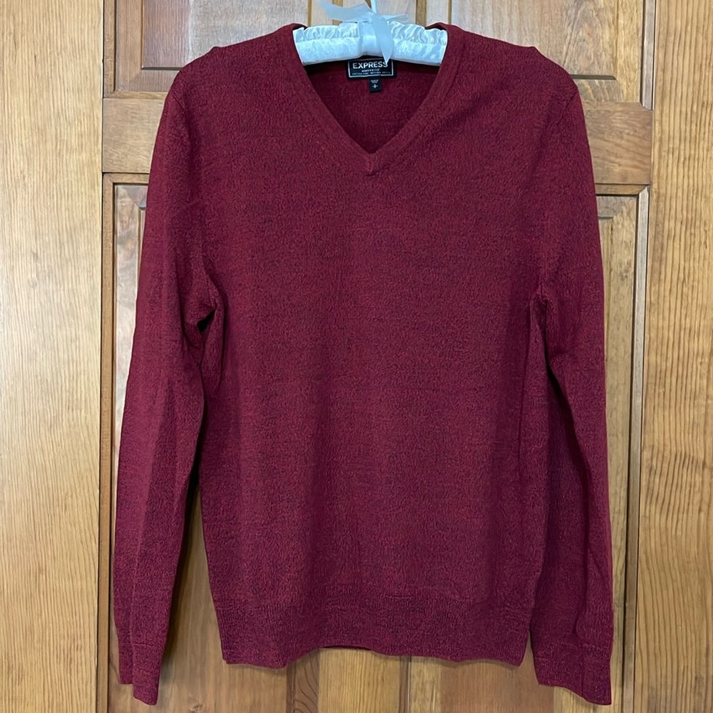 Express Modern Fit Extra Fine Merino Wool Mens V-neck Sweater